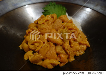 海膽蓋飯 103872200