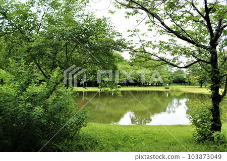 漫步宜人的綠地，清新的季節，田園公園 103873049