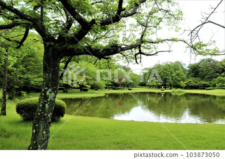 漫步宜人的綠地，清新的季節，田園公園 103873050