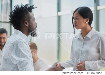 Business Handshake - business people shaking hands. Handshake between business man and woman indoors. 103873054