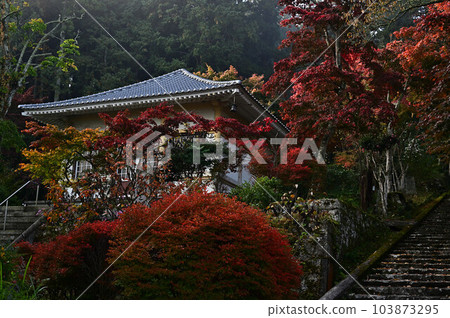 Joshoji temple in autumn 103873295