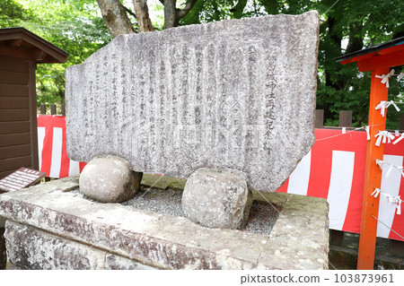 伊豆全景公園 (Ao Terrace) 富士山 伊豆全景公園 (Ao Terrace) 富士山 103873961