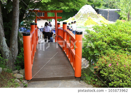 伊豆全景公園 (Ao Terrace) 富士山 伊豆全景公園 (Ao Terrace) 富士山 103873962