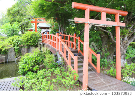 伊豆全景公園 (Ao Terrace) 富士山 伊豆全景公園 (Ao Terrace) 富士山 103873983