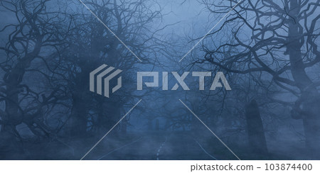Foggy forest with leafless trees in evening time Foggy forest with leafless trees in evening time 103874400