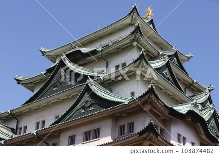 Nagoya Castle, Meijo Park, Sakura, Aichi Prefecture Nagoya Castle, Meijo Park, Sakura, Aichi Prefecture 103874482