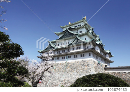 Nagoya Castle, Meijo Park, Sakura, Aichi Prefecture Nagoya Castle, Meijo Park, Sakura, Aichi Prefecture 103874483