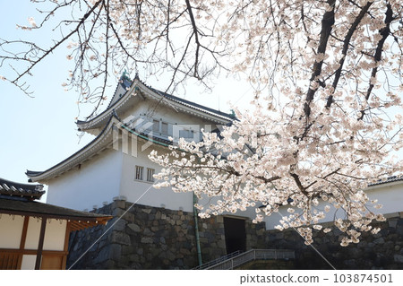 愛知縣佐倉市名城公園名古屋城 愛知縣佐倉市名城公園名古屋城 103874501