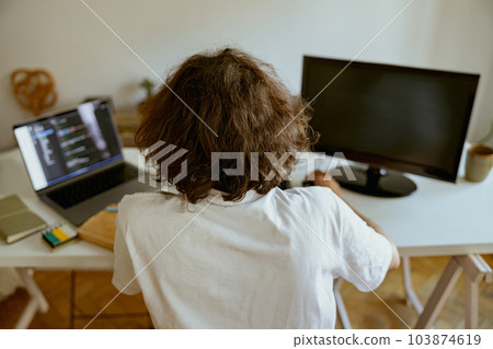 Back view of businessman using computer while working remotely from home. Distance work concept 103874619