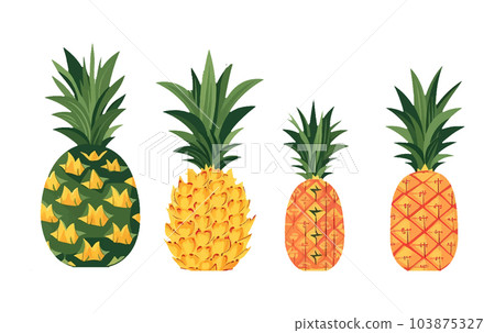 set vector illustration of ripe pineapple isolated on white background 103875327