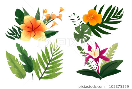 set vector illustraion of tropical leaves and flowers isolated on white background set vector illustraion of tropical leaves and flowers isolated on white background 103875359
