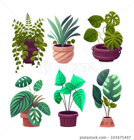 set vector illustration of home plant in clay pot isolate on white background set vector illustration of home plant in clay pot isolate on white background 103875497