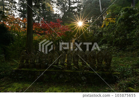 Joshoji temple in autumn 103875655