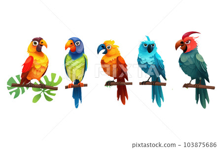 set vector illustration of tropical bird with bright color feathers isolated on white background set vector illustration of tropical bird with bright color feathers isolated on white background 103875686