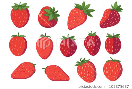 set vector illustration of ripe strawberry isolated on white background 103875687