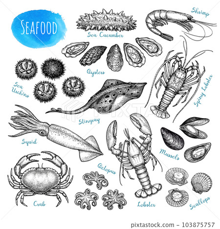 Seafood ink sketch collection. Seafood ink sketch collection. 103875757