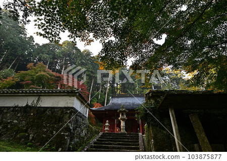 Joshoji temple in autumn 103875877