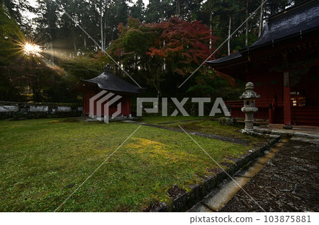 秋天的常勝寺 秋天的常勝寺 103875881