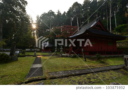 Joshoji temple in autumn 103875932