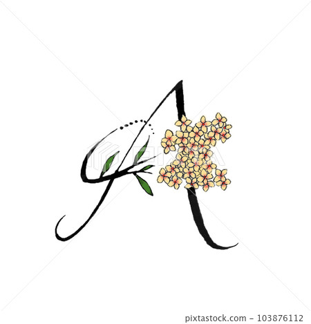 裝飾字母 A 裝飾字母 A 103876112