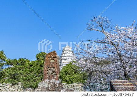 Himeji City, Hyogo Prefecture, Himeji Castle in spring with cherry blossoms shining in the sunny sky, the Monument of Kintoku and Himeji Castle Keep 103876487