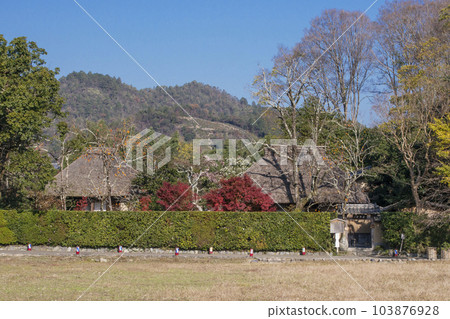 Rakushisha Mukai Kyorai Ruins Autumn Kyoto Sagano Popular tourist spot in Kyoto Rakushisha Mukai Kyorai Ruins Autumn Kyoto Sagano Popular tourist spot in Kyoto 103876928