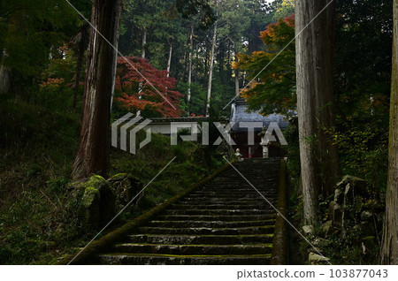 秋天的常勝寺 秋天的常勝寺 103877043