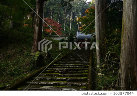 Joshoji temple in autumn 103877044