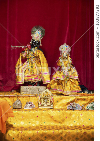 Idols of Lord Krishna with Radha in Shri Sitaramji Mandir, situated in the premises of Galtaji Mandir, built within a mountain pass in the Aravalli Hills in early 15th century, Jaipur, Rajasthan, Idols of Lord Krishna with Radha in Shri Sitaramji Mandir, situated in the premises of Galtaji Mandir, built within a mountain pass in the Aravalli Hills in early 15th century, Jaipur, Rajasthan, 103877293
