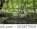 Kogenji Temple Approach "Kaze no Omotenashi" 103877924