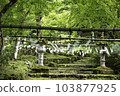 Kogenji Temple Approach "Healed by Wind Chimes and Green Maples" 103877925