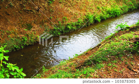 Scenery of Nobitome irrigation canal (Niiza City, Saitama Prefecture) 103878305