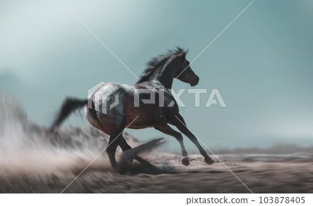 Appaloosa horse run 103878405