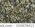 A bunch of dry sea buckthorn leaves prepared for medicinal tea. Autumn background and preparations of medicinal herbs for the future. 103878413