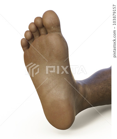 3D scientific medical illustration depicting the foot of a dark-skinned male person as seen from the bottom view 3D scientific medical illustration depicting the foot of a dark-skinned male person as seen from the bottom view 103879157