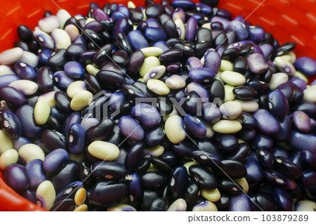 Black and white beans closeup shot, Phaseolus vulgaris Black and white beans closeup shot, Phaseolus vulgaris 103879289