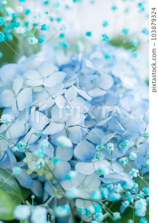 Beautiful floral background of delicate blue hydrangea and green leaves vertical view Beautiful floral background of delicate blue hydrangea and green leaves vertical view 103879324