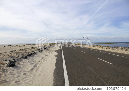 Dhanushkodi Raod on the tip of Pamban island, separated from the mainland by the Palk Strait, Tamilnadu, India Dhanushkodi Raod on the tip of Pamban island, separated from the mainland by the Palk Strait, Tamilnadu, India 103879424