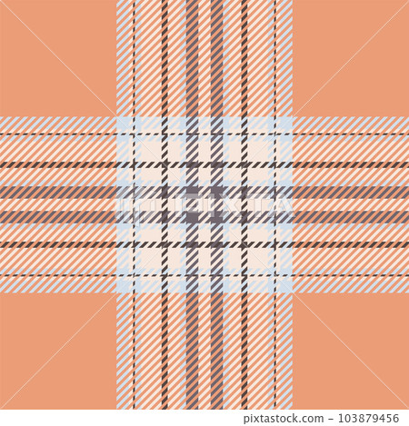 Plaid check pattern. Seamless fabric texture. Tartan textile print. 103879456