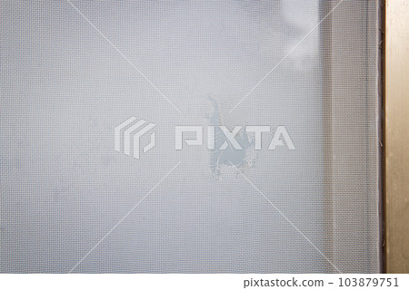 screen door with holes 103879751