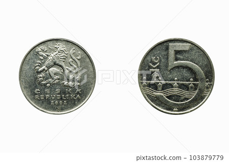money, banknote, woman 103879779