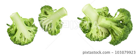 fresh broccoli isolated on white background close-up with full depth of field. Top view. Flat lay 103879923