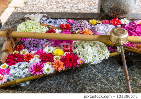 June rainy season flower hand water 103880573