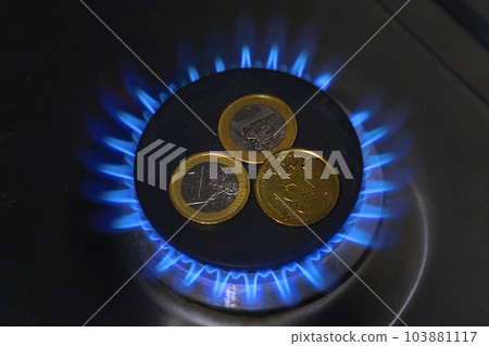 Euro Coins with a Blue Gas Blaze on a Kitchen Stove. Gas Crisis. Increasing Consumption. Cost of Electricity and Expensive Energy Concept. Price Hike of Utility Bill. Annually Inflation. Home Budget Euro Coins with a Blue Gas Blaze on a Kitchen Stove. Gas Crisis. Increasing Consumption. Cost of Electricity and Expensive Energy Concept. Price Hike of Utility Bill. Annually Inflation. Home Budget 103881117