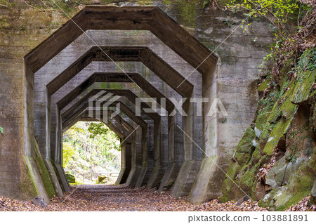 The scenery of the octagonal tunnel that shines on the mountain roads and forest roads in autumn (Tourist spot: Hakkaku Tunnel, Misato-cho, Shimomashiki-gun) 103881891