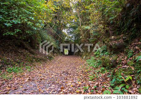 The scenery of the octagonal tunnel that shines on the mountain roads and forest roads in autumn (Tourist spot: Hakkaku Tunnel, Misato-cho, Shimomashiki-gun) 103881892