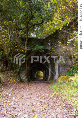 Hakkaku Tunnel scenery that shines in autumn leaves (Tourist spot Hakkaku Tunnel Misato-cho, Shimomashiki-gun) 103882145