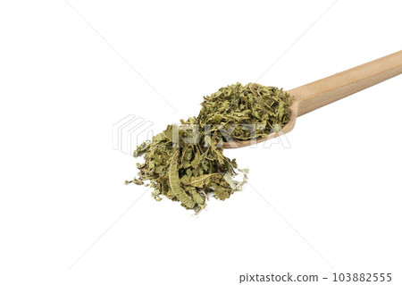 Dried leaves o Lemon verbena in latin Aloysia citrodora on wooden spoon isolated on white background. Medicinal. herb. 103882555