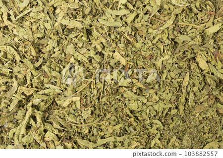 Dried leaves o Lemon verbena in latin Aloysia citrodora background. 103882557