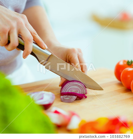 Closeup on woman cutting onion Closeup on woman cutting onion 103882769